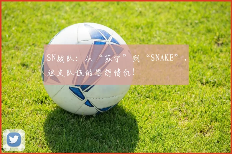 SN战队:从“苏宁”到“SNAKE”,这支队伍的恩怨情仇!