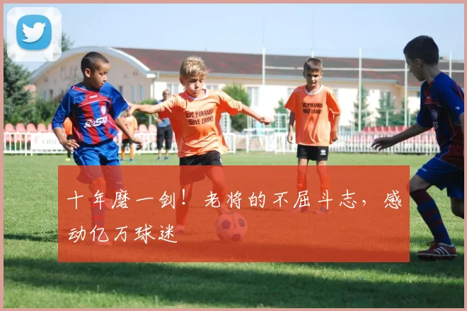 十年磨一剑！老将的不屈斗志，感动亿万球迷