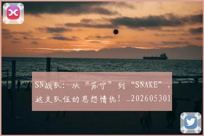 SN战队：从“苏宁”到“SNAKE”，这支队伍的恩怨情仇！_20260530143738_20260702170915