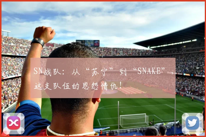 SN战队：从“苏宁”到“SNAKE”，这支队伍的恩怨情仇！