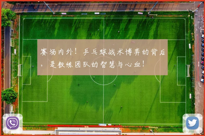 赛场内外!乒乓球战术博弈的背后,是教练团队的智慧与心血!